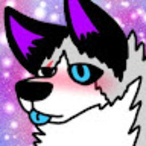 Meet your Posher, Thedrawer